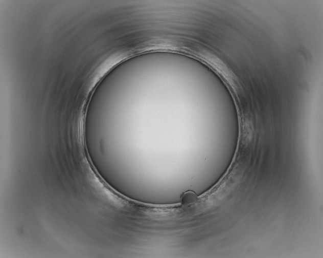 X0000111431290200907131215