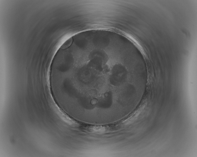 X0000111431291200907131215