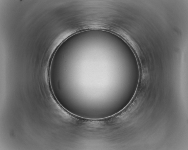 X0000111431293200907131215