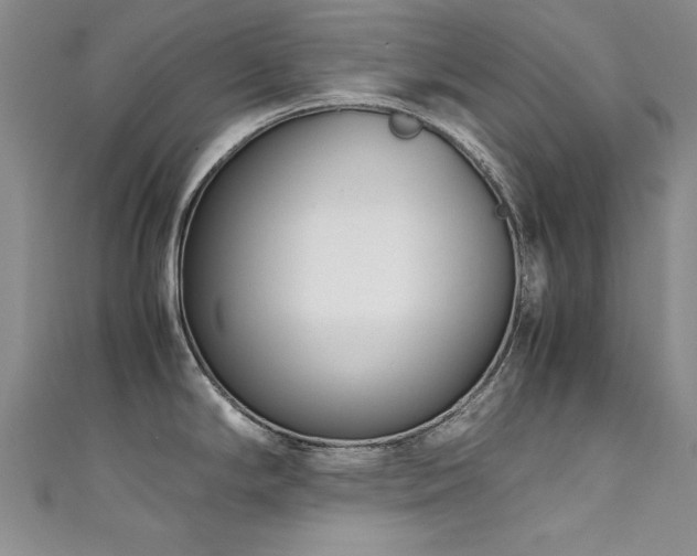 X0000111431294200907131215