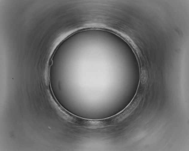 X0000111431295200907131215