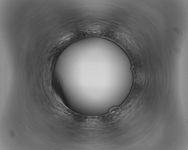 X0000111431297200907131214