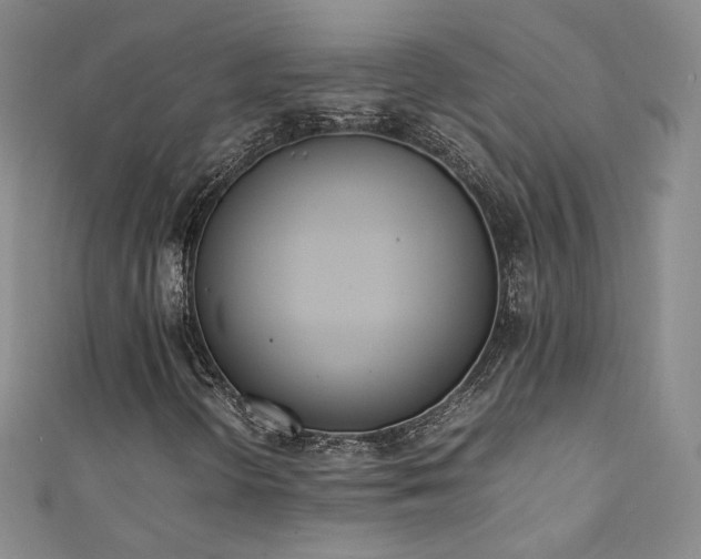 X0000111431298200907131214