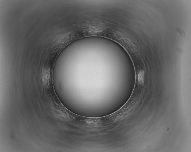 X0000111431299200907131214