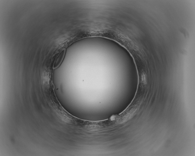 X0000111431300200907131214