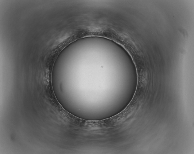 X0000111431301200907131214