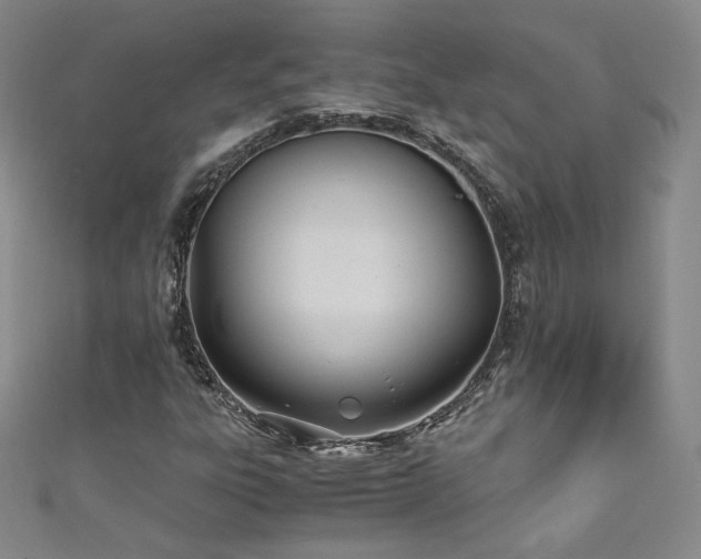 X0000111431303200907131214