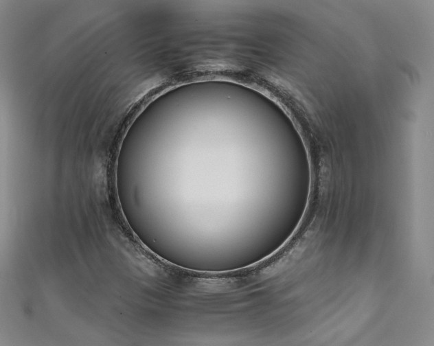 X0000111431305200907131214