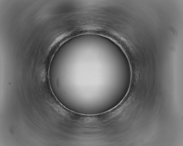 X0000111431306200907131214
