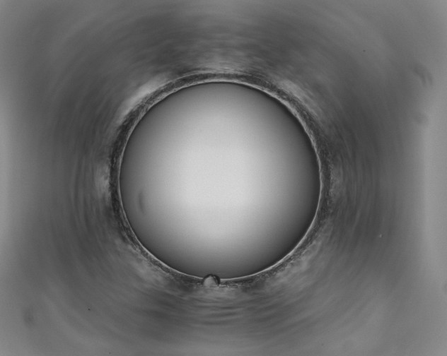X0000111431307200907131214