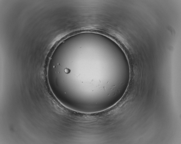 X0000111431308200907131214