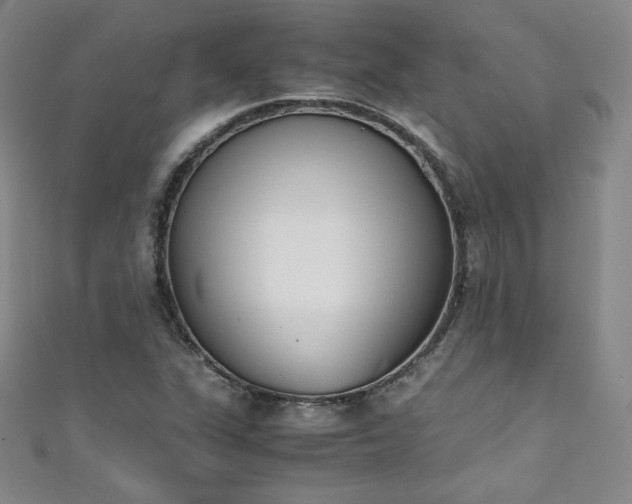 X0000111431311200907131214