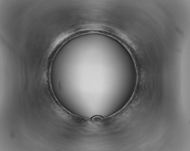 X0000111431312200907131214