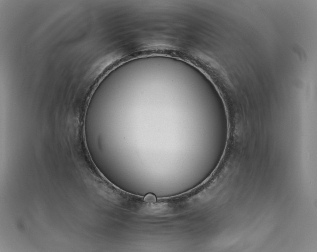 X0000111431313200907131214