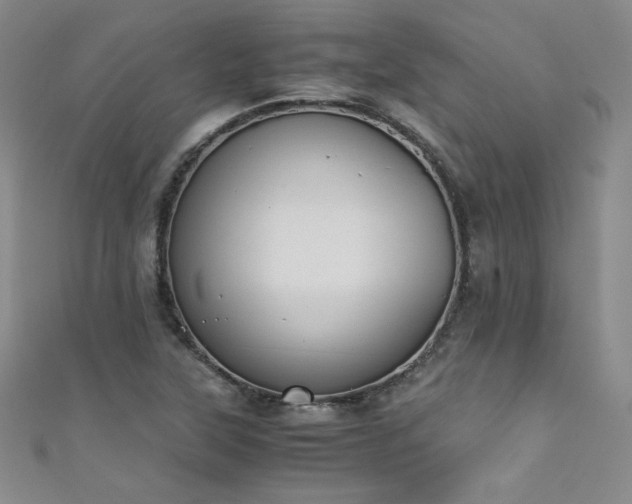 X0000111431315200907131214