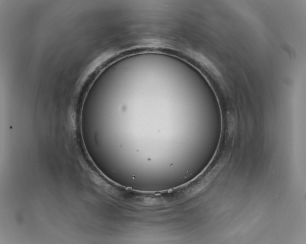 X0000111431318200907131214