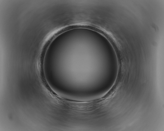 X0000111431319200907131214