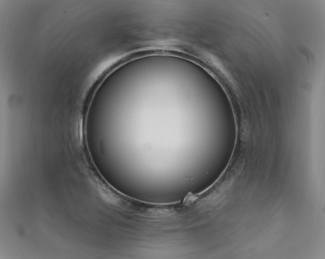 X0000111431320200907131214