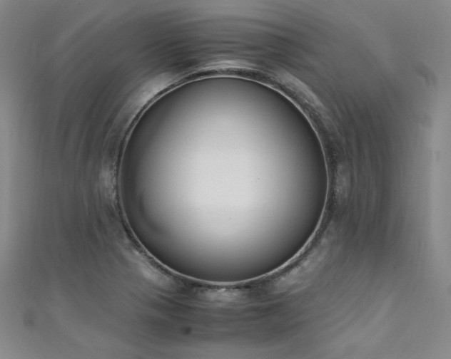 X0000111431321200907131214