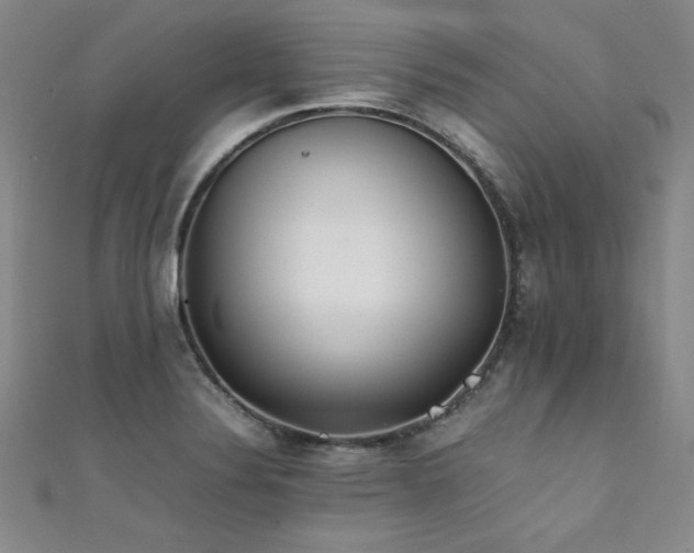 X0000111431324200907131215