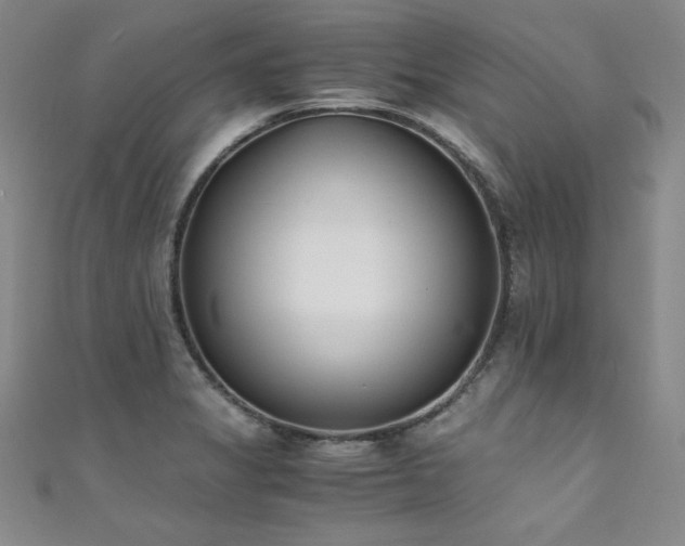 X0000111431325200907131215