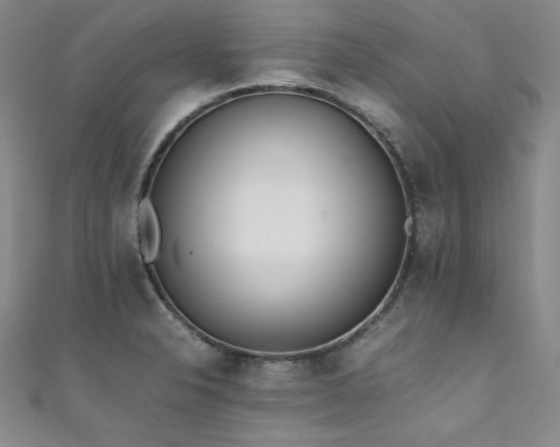 X0000111431326200907131215
