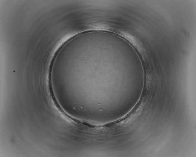 X0000111431331200907131215