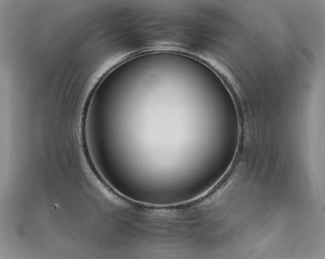 X0000111431333200907131215