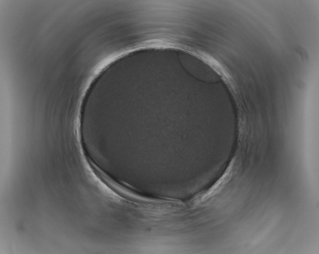 X0000111431334200907131215