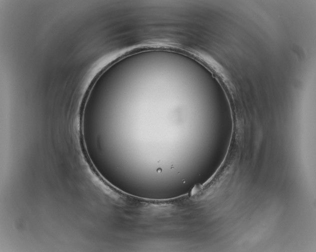 X0000111431335200907131215