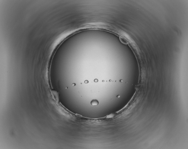 X0000111431336200907131215