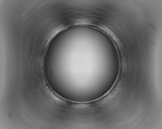 X0000111431337200907131215