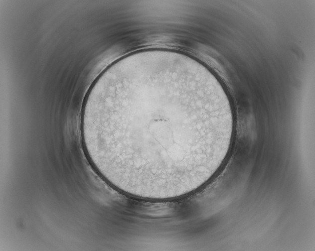 X0000111431338200907131215