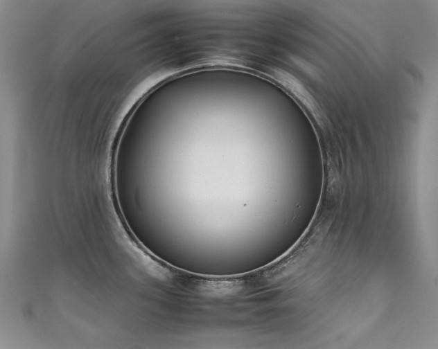 X0000111431339200907131215