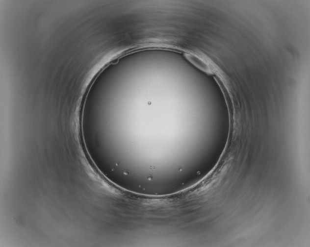 X0000111431341200907131215