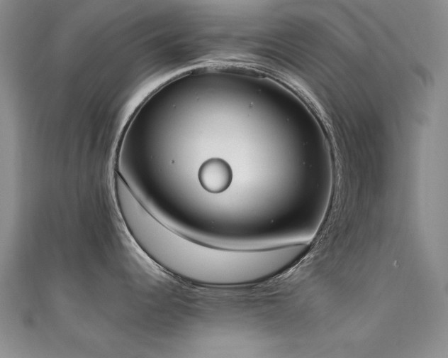 X0000111431344200907131215