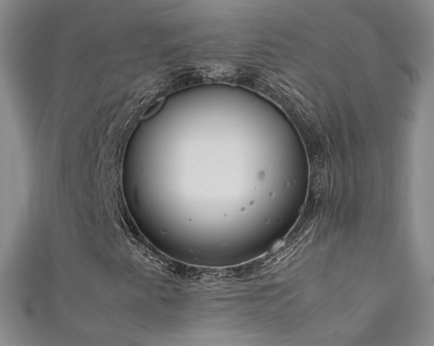 X0000111431345200907131214
