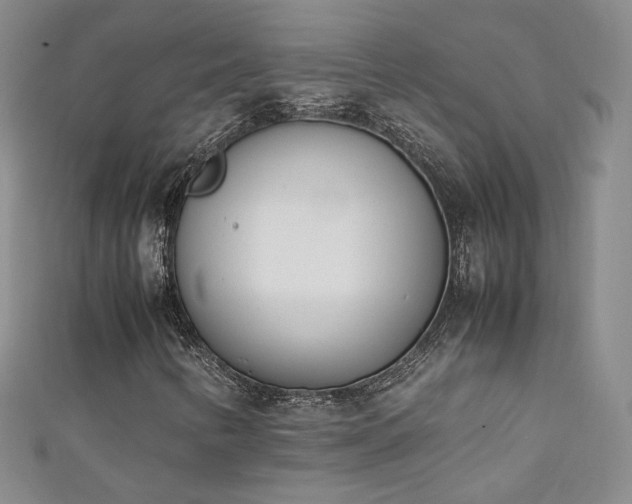 X0000111431346200907131214