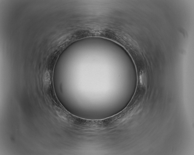 X0000111431347200907131214