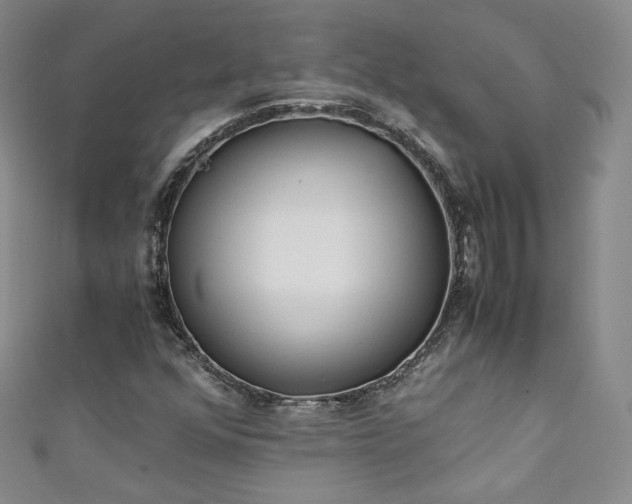 X0000111431352200907131214