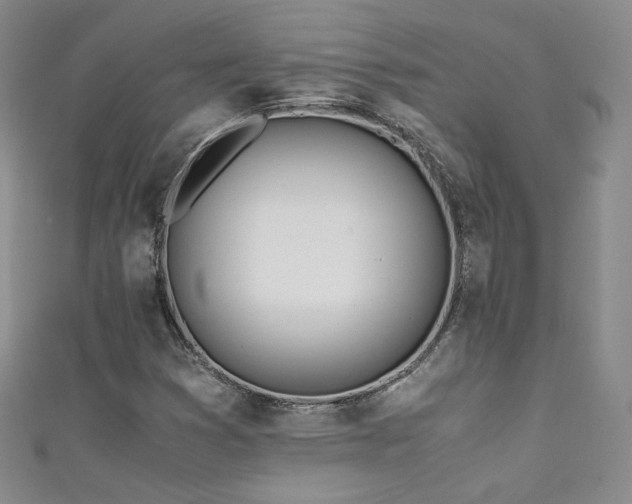 X0000111431353200907131214