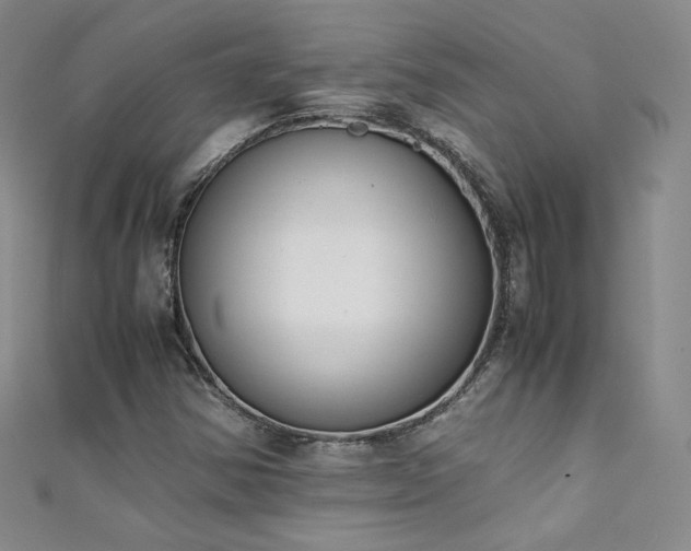 X0000111431354200907131214