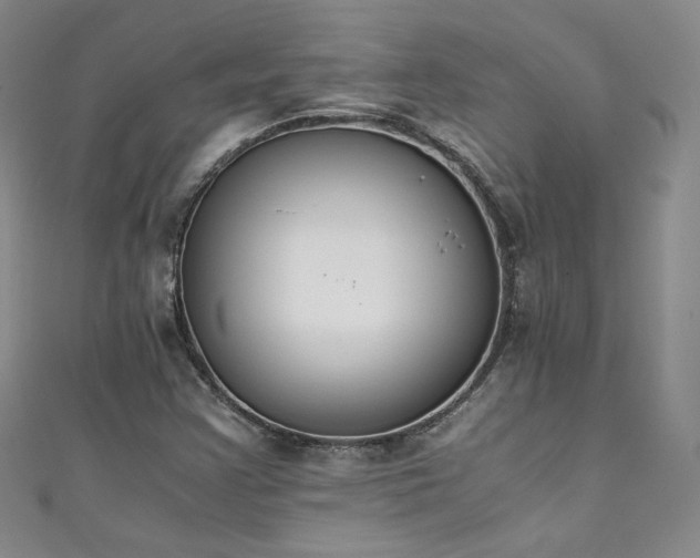 X0000111431355200907131214