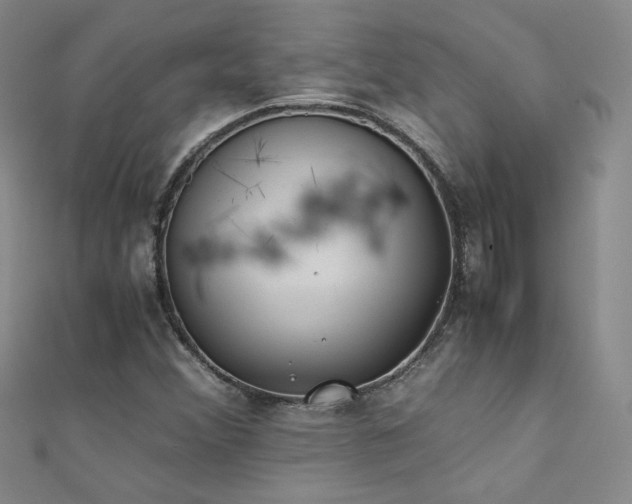 X0000111431356200907131214