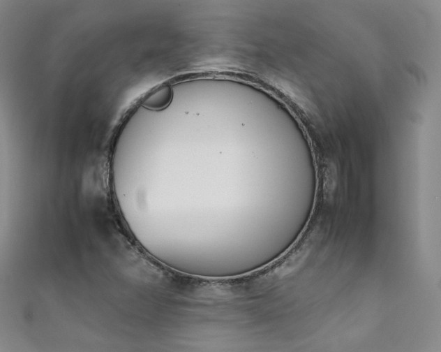 X0000111431358200907131214
