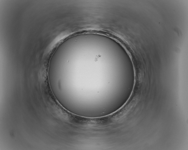 X0000111431359200907131214