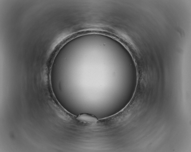 X0000111431360200907131214
