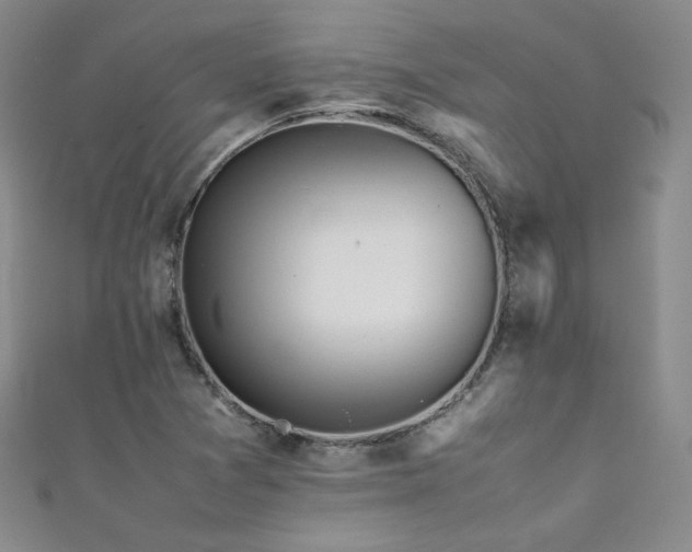 X0000111431361200907131214
