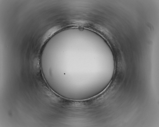 X0000111431362200907131214
