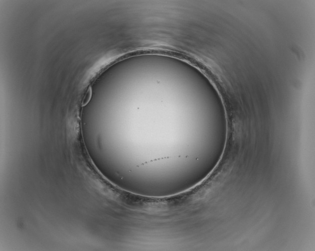 X0000111431363200907131214